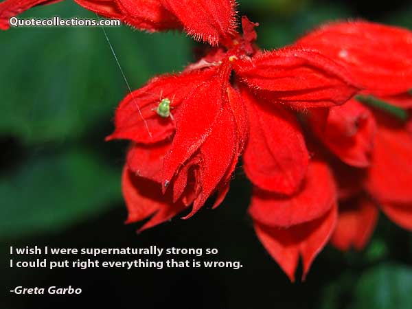 Greta Garbo Quotes2